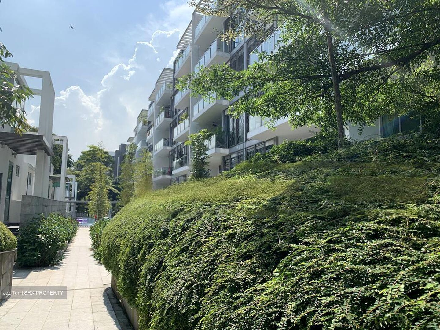 Verdure (D10), Condominium #483363391